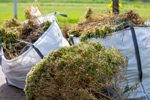 Best Household Junk Removal  in Thedral City, CA